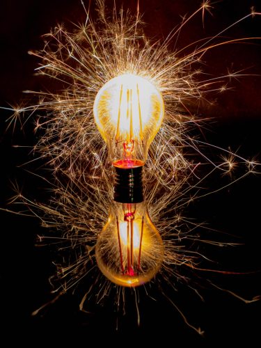 Paul-Matthews Bulb-Fusion 1