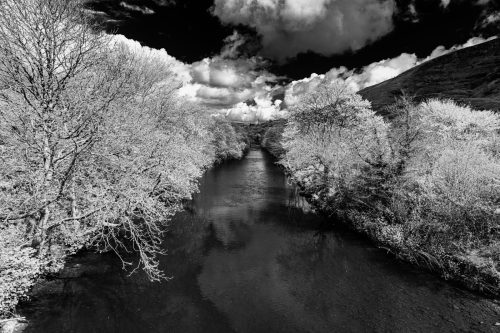 Faux Infra Red Tawe