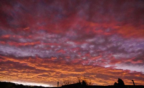 Fire-in-the-Sky